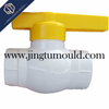 Plastic Mould for PPR Special-shaped Ball Valve 